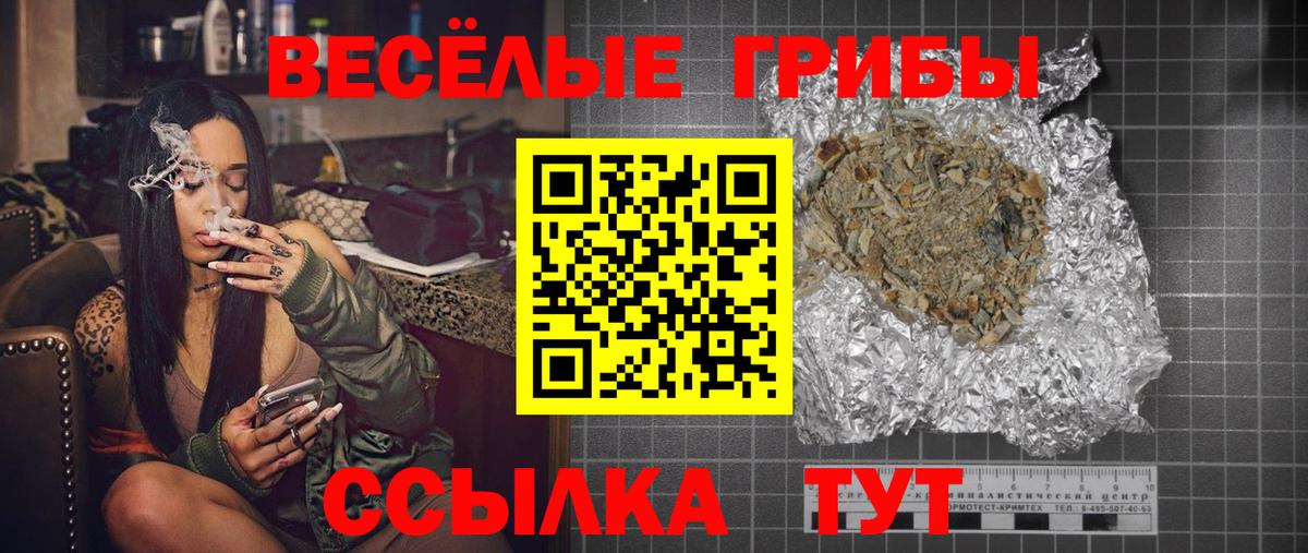 Галлюциногенные грибы GOLDEN TEACHER  Галлюциногенные грибы прущие грибы  Вход с VPN  Назрань 